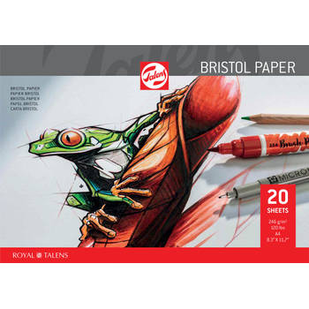 Talens Bristol papier, 250 g/m², ft 21 x 29,7 cm (A4) 3 stuks