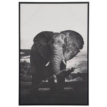 Beliani NIBBIA - Canvas-Grijs-Polyester