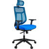 MaxxHome Senior Executive Luxe Ergonomische Bureaustoel - Verstelbaar - Netbekleding - High-end - Blauw