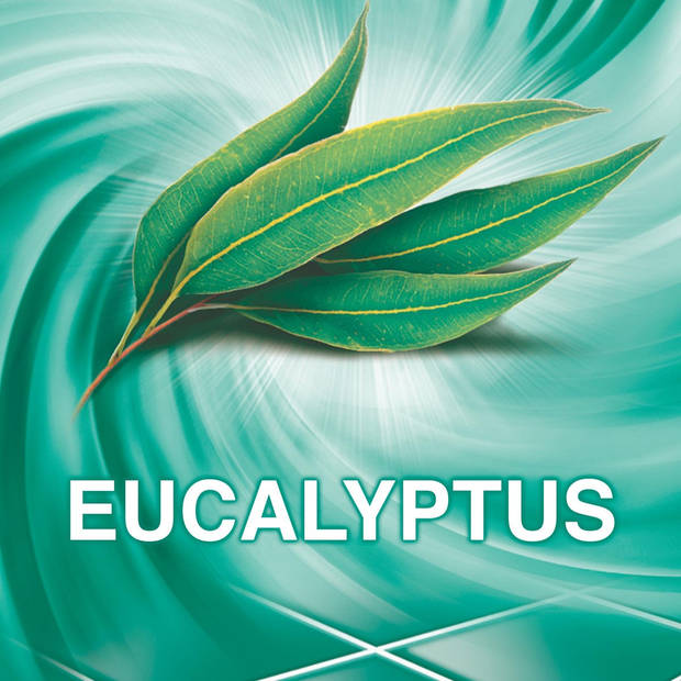 Ajax Allesreiniger Eucalyptus 6 x 1.25L - Voordeelverpakking