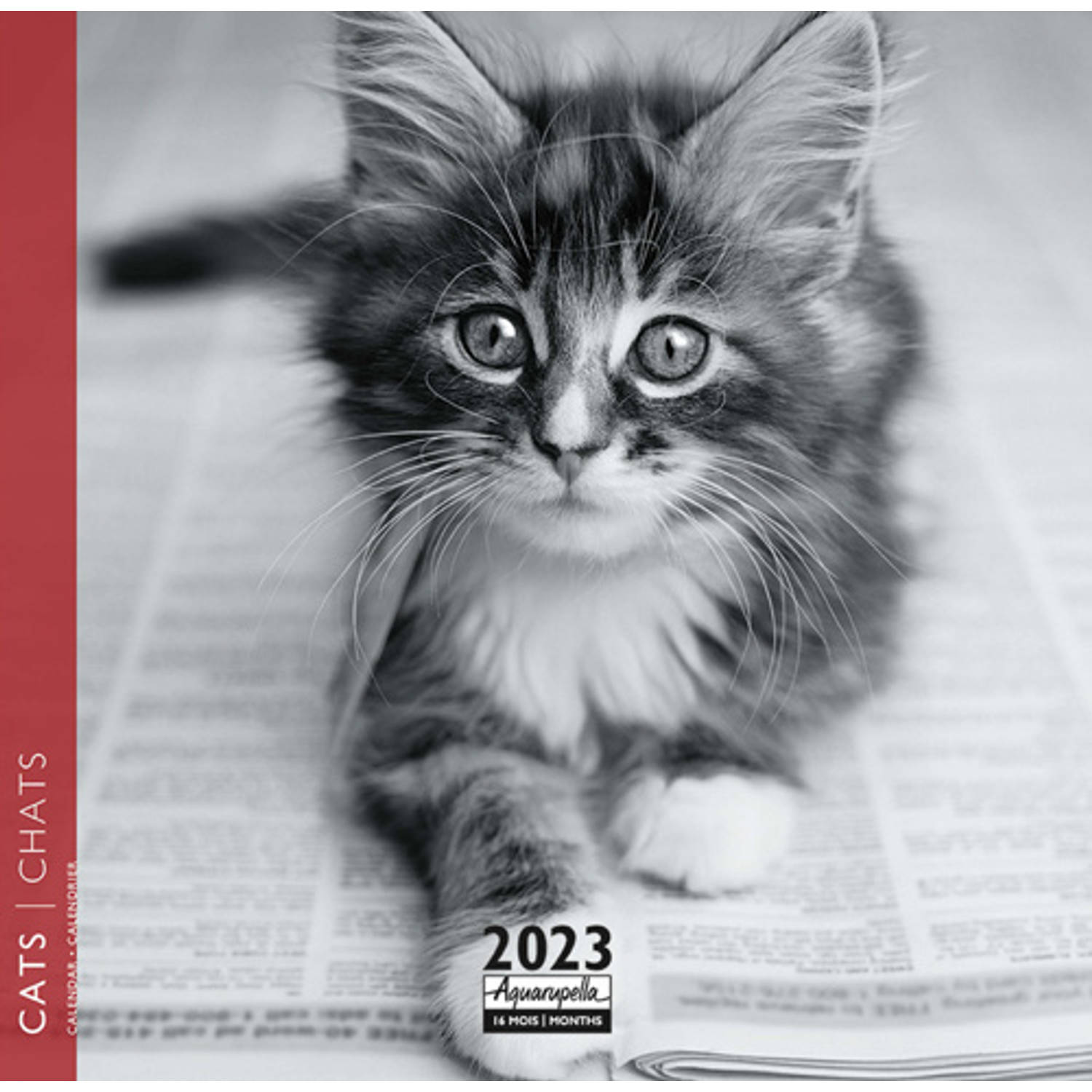 Katten Kalender 2023 Mini