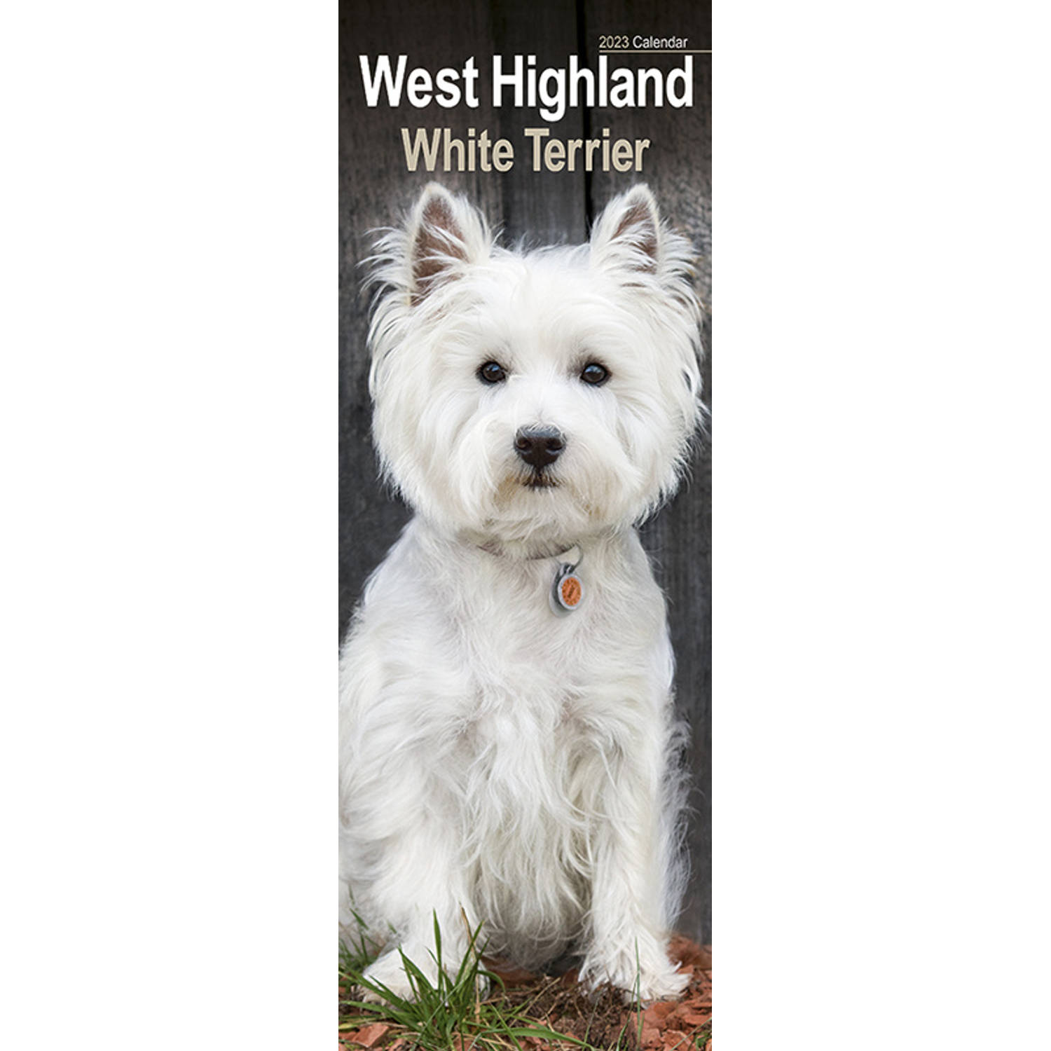 West Highland White Terrier Kalender 2023 Slimline