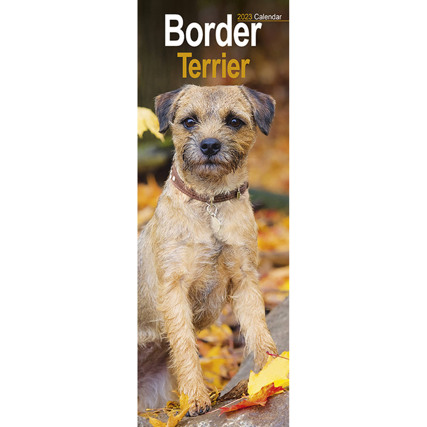 Border Terrier Kalender 2023 Slimline