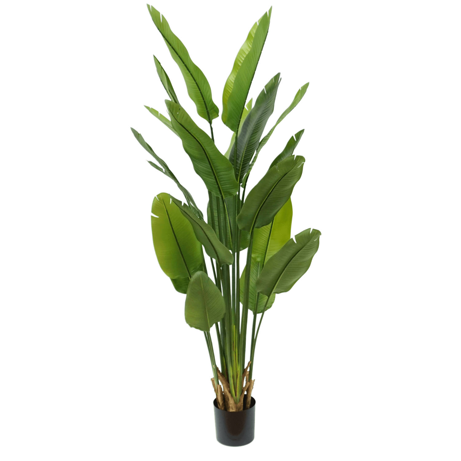 Strelitzia Kunstplant 2 180cm | Grote kunstplant | Kunst kamerplant | Strelitzia kunstplant | Levensechte kunstplant