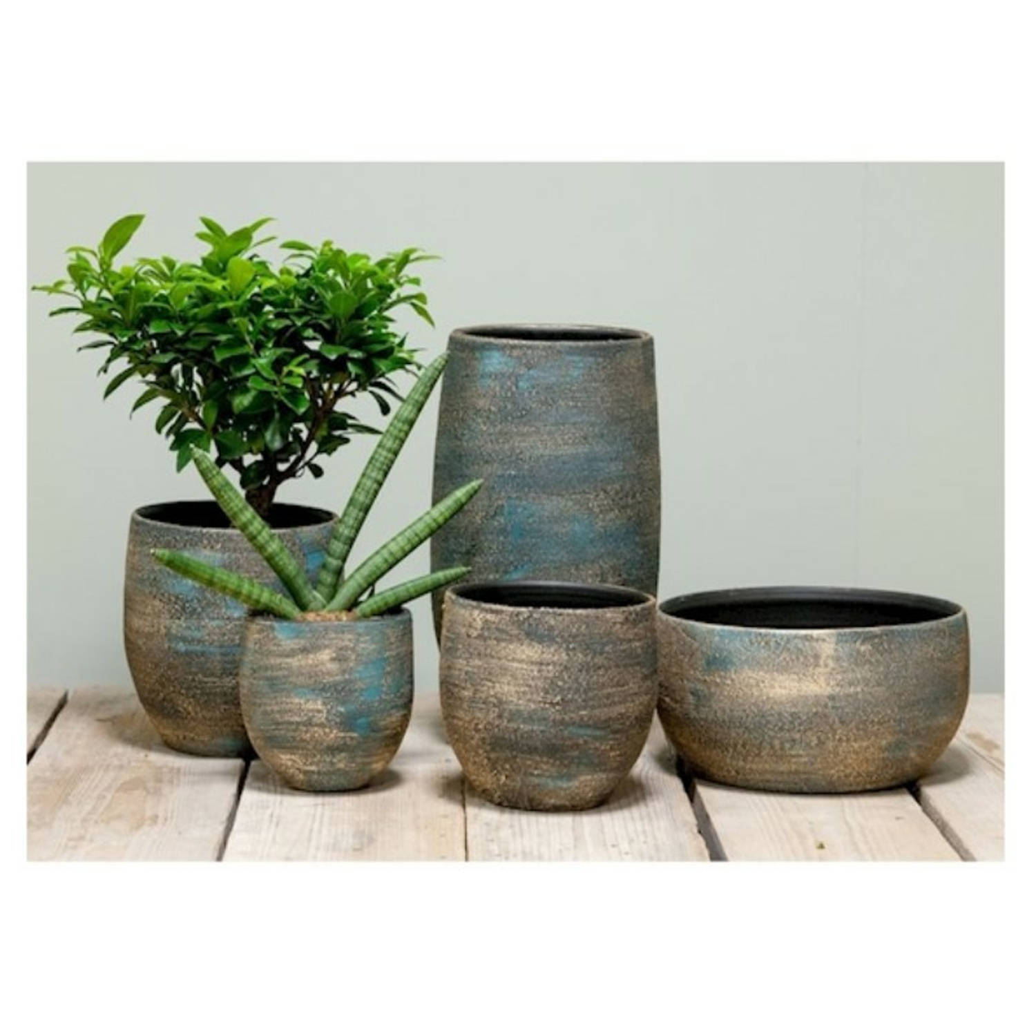 constant snorkel mild Luxe plantenpot/bloempot blauw/goud Madeira van keramiek 14 cm -  Plantenpotten | Blokker