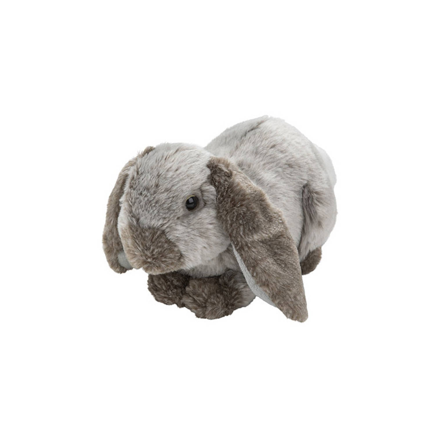 zanger Woud Eenzaamheid Pluche hangoor konijn grijs knuffel van 28 cm - Knuffel bosdieren | Blokker