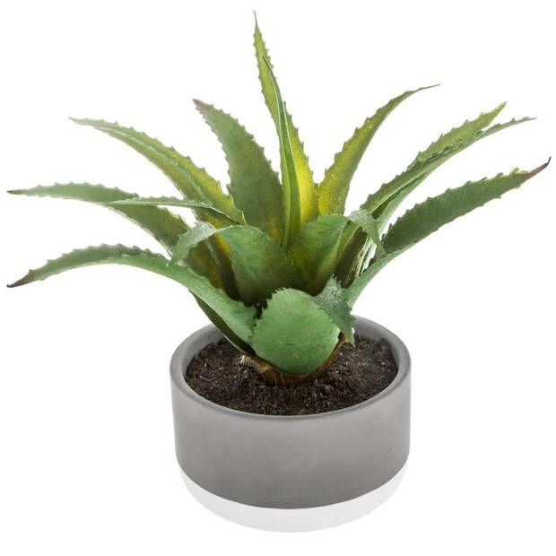 Atmosphera vetplant kunstplant in pot van cement 22 cm - Kunstplanten