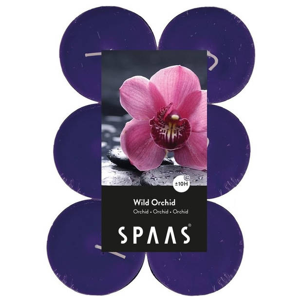 Candles by Spaas geurkaarsen - 24x stuks in 2 geuren Jasmin en Wild Orchid - geurkaarsen