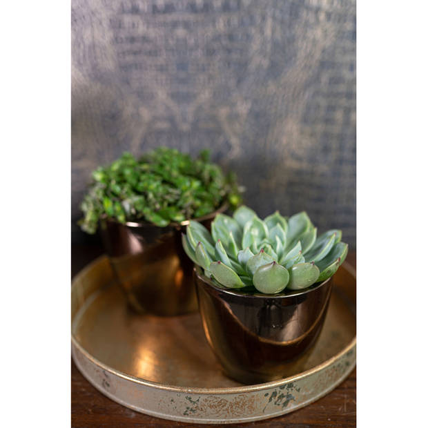 Steege Bloempot - goud - Scandinavische look - keramiek - 13 x 11 cm - Plantenpotten