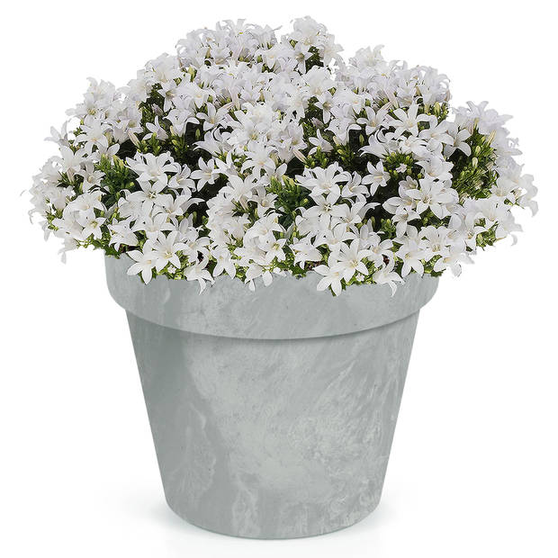 Kunststof bloempotten/plantenpotten betonlook 17 cm licht grijs - Plantenpotten