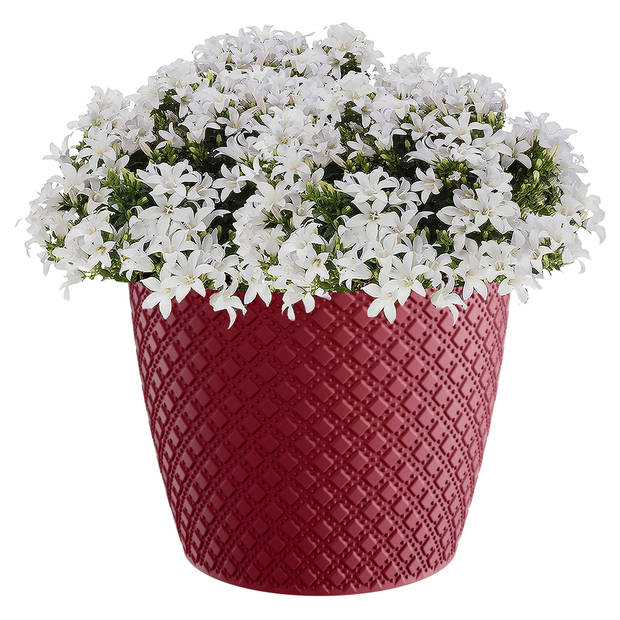 Prosperplast plantenpot/bloempot - kunststof - rood - D22 x H19 cm - Plantenpotten