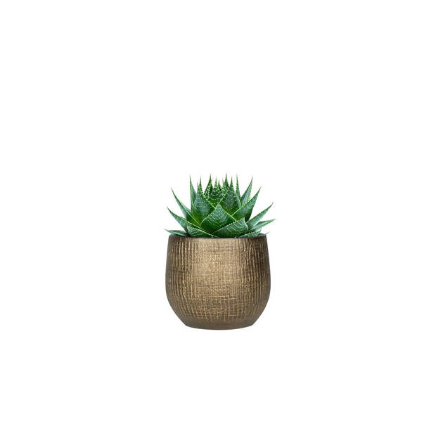 Steege Plantenpot - modern design - goudkleurig - 16 x 18 cm - Plantenpotten