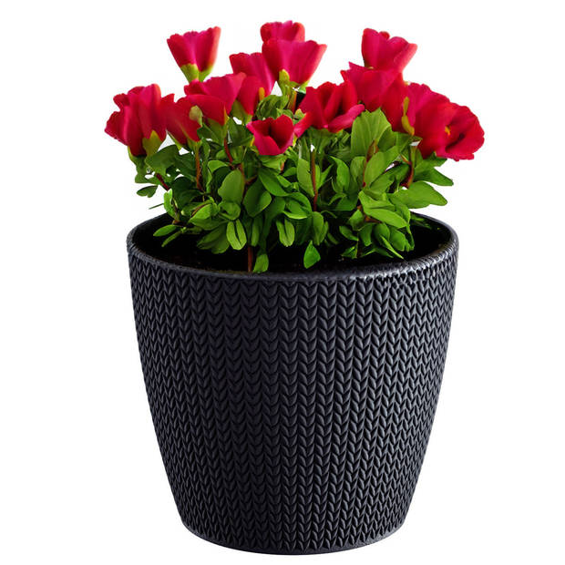 Prosperplast Plantenpot - antraciet - kunststof - D16 x H14 cm - Plantenpotten