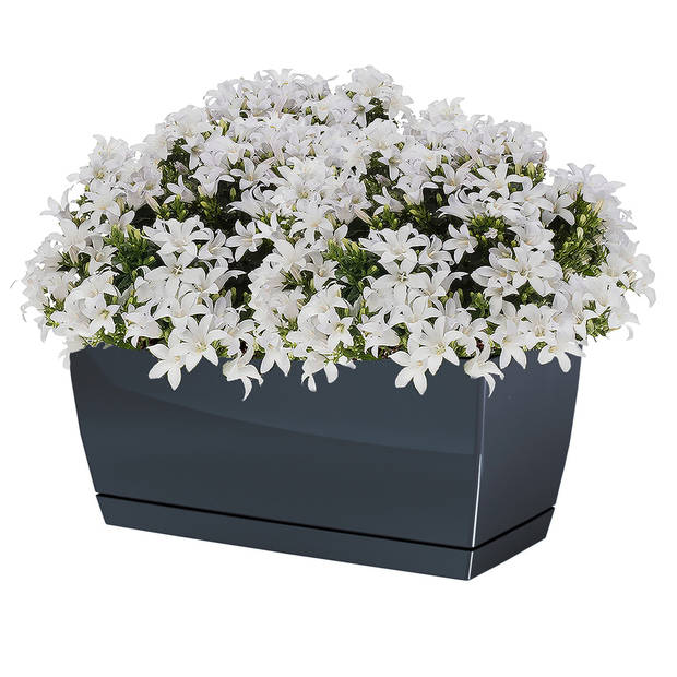 Prosperplast bloempot - kunststof - antraciet - 24 x 12 x 11 cm - Plantenpotten