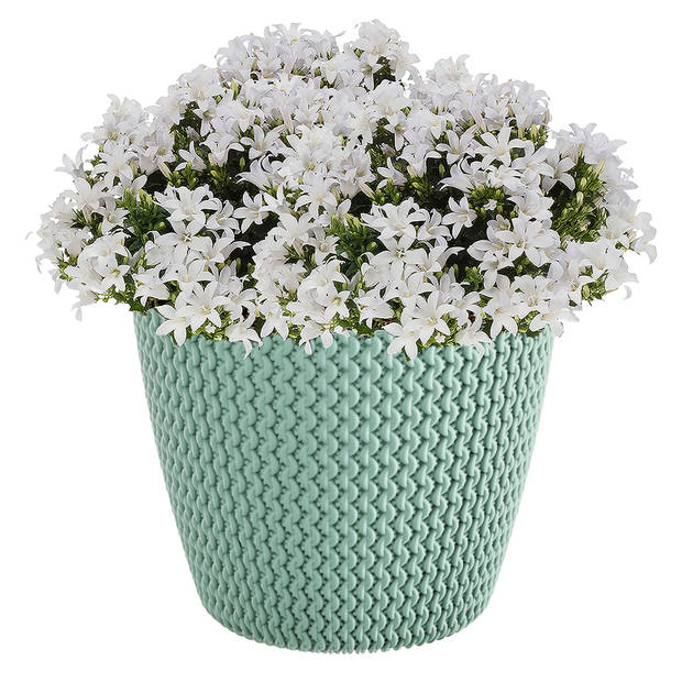 Plantenpot/bloempot kunststof dia 22 cm en hoogte 19 cm mintgroen - Plantenpotten