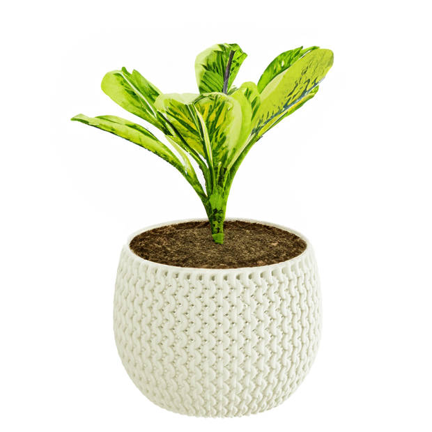 Prosperplast Plantenpot/bloempot Splofy - creme wit - kunststof - D24 x H16 cm - binnen/buiten pot - Plantenpotten