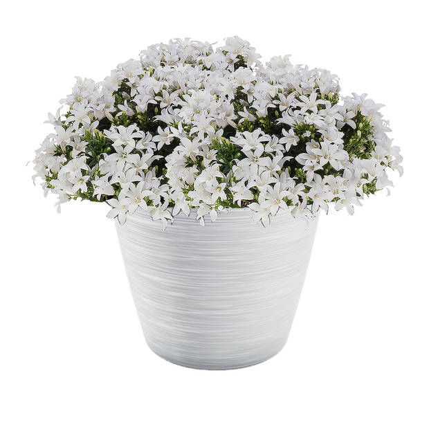 Prosperplast Plantenpot - kunststof - wit - D30 x H25 cm - Plantenpotten