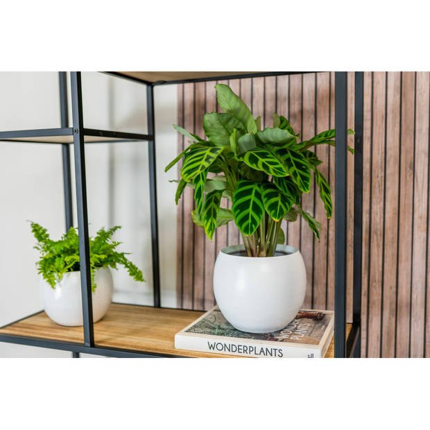 Steege Bloempot - wit - modern design - keramiek - 22 x 20 cm - Plantenpotten