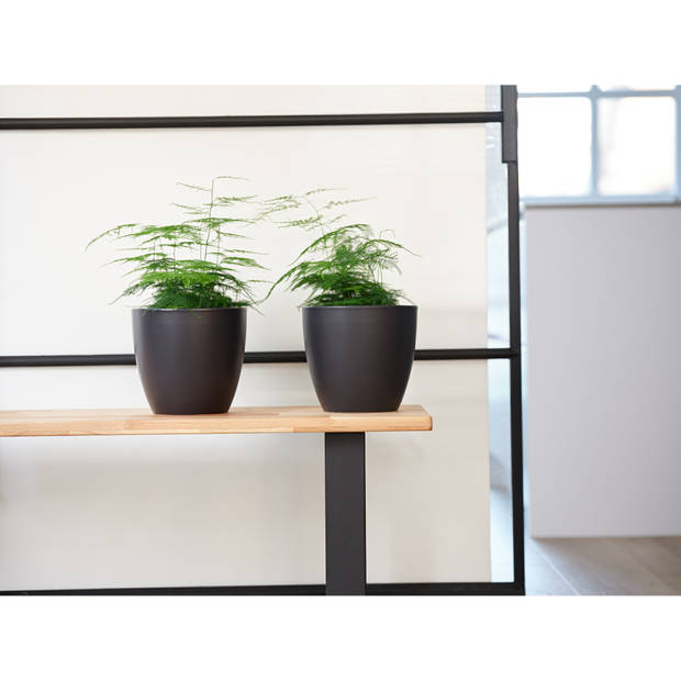 Steege Plantenpot/bloempot - keramiek - zwart - glanzend - 24x22 cm - Plantenpotten
