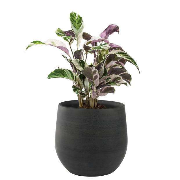 Steege Plantenpot - moderne look - zwart - 31 x 28 cm - Plantenpotten