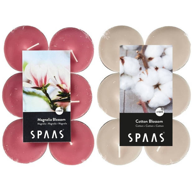 Candles by Spaas geurkaarsen - 24x stuks in 2 geuren Blossom Flowers en Magnolia Bloesem - geurkaarsen