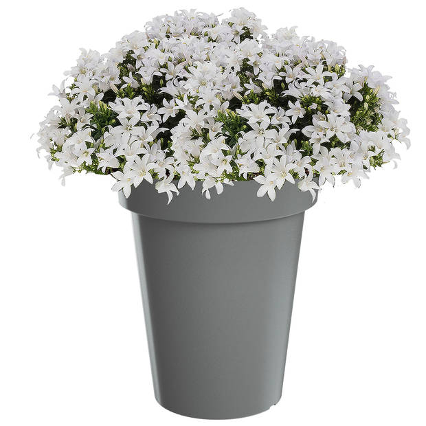 Prosperplast Bloempot - kunststof - steengrijs - D20 x H26 cm - Plantenpotten