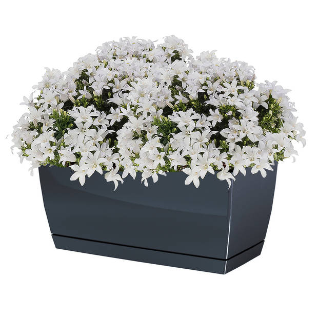 Prosperplast plantenpot - kunststof - antraciet - 40 x 19 x 18 cm - Plantenpotten