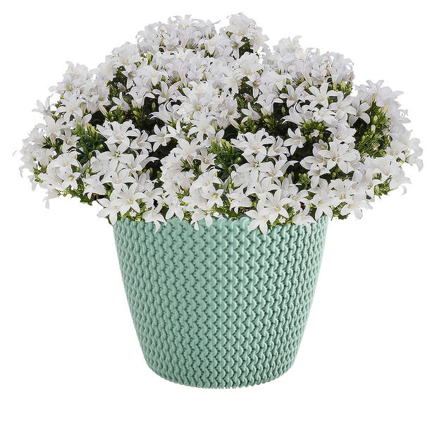 Prosperplast Plantenpot Splofy - mint groen - kunststof - D13 x H11 cm - Plantenpotten