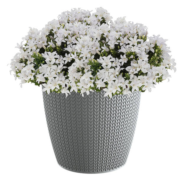 Prosperplast Plantenpot - steengrijs - kunststof - D22 x H19 cm - Plantenpotten