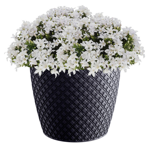 Prosperplast Bloempot/plantenpot - antraciet - D26 x H23 cm - orient stijl - binnen/buiten gebruik - Plantenpotten