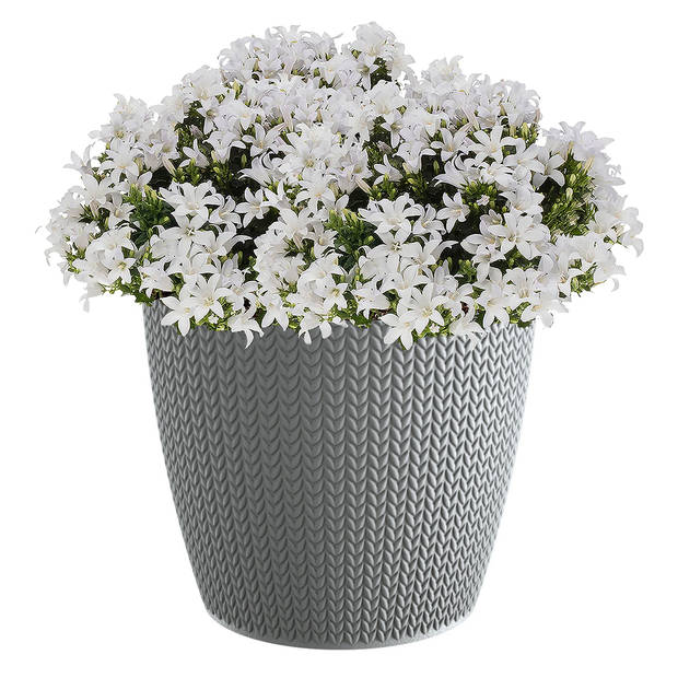 Prosperplast plantenpot/bloempot - kunststof - steengrijs - D26 x H23 cm - Plantenpotten