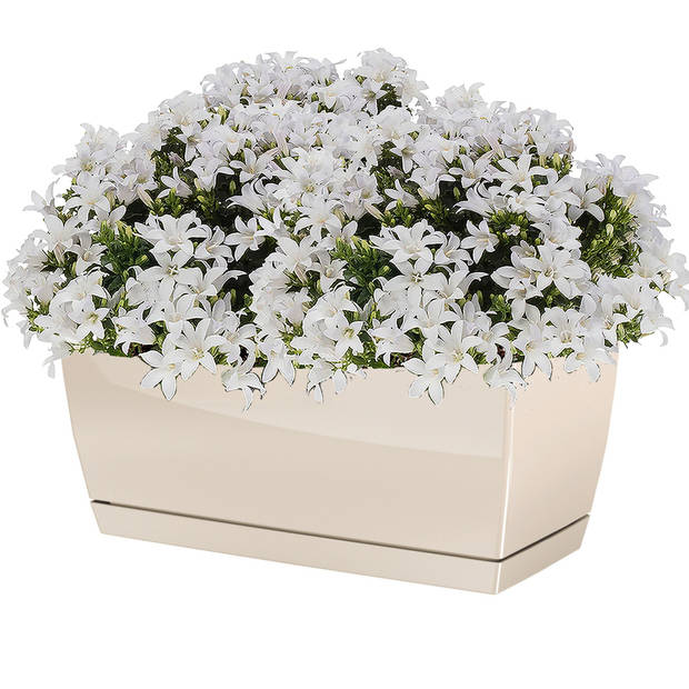 Plantenpot/bloempot kunststof glanzend creme/beige 24 x 12 x 11 cm - Plantenpotten