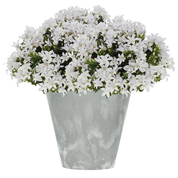 Kunststof bloempot/plantenpot betonlook 20 cm licht grijs - Plantenpotten