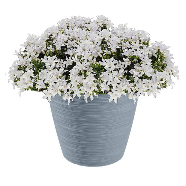 Prosperplast Plantenpot - kunststof - steengrijs - D30 x H25 cm - Plantenpotten