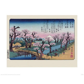 Kunstdruk Hiroshige - Mount Fuji Koganei Bridge 40x50cm