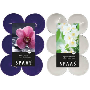 Candles by Spaas geurkaarsen - 24x stuks in 2 geuren Jasmin en Wild Orchid - geurkaarsen