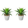 Set van 2x stuks atmosphera Aloe Vera kunstplanten in pot van cement 34 cm - Kunstplanten
