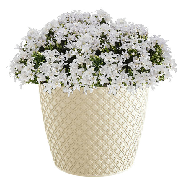 Prosperplast plantenpot/bloempot - kunststof - creme - D22 x H19 cm - Plantenpotten