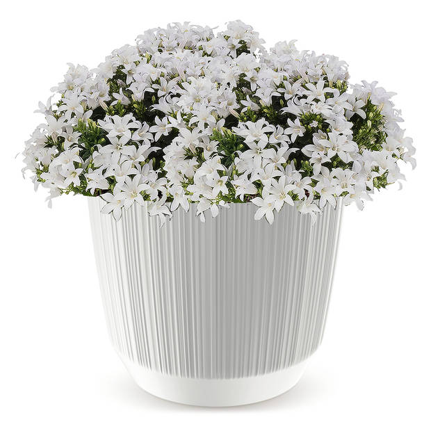 Moderne carf-stripe plantenpot/bloempot kunststof dia 17 cm/hoogte 15 cm parel wit - Plantenpotten