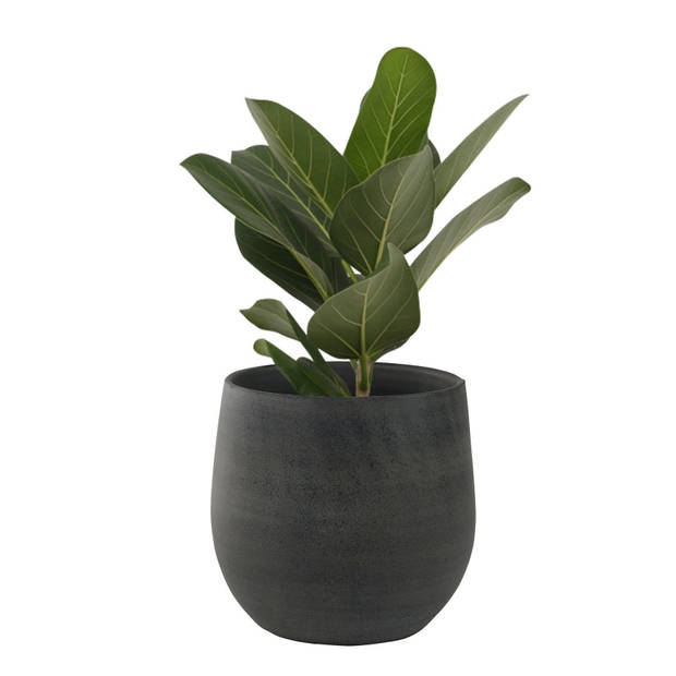 2x stuks plantenpotten/bloempotten in een strakke Modern design look grafiet Dia 18 cm en Hoogte 16 - Plantenpotten