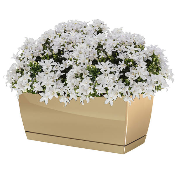 Prosperplast plantenpot - kunststof - mat goud - 24 x 12 x 11 cm - Plantenpotten