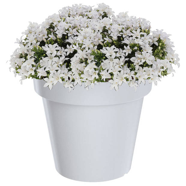 Grote witte kunststof bloempot/plantenpot 60 cm - Plantenpotten