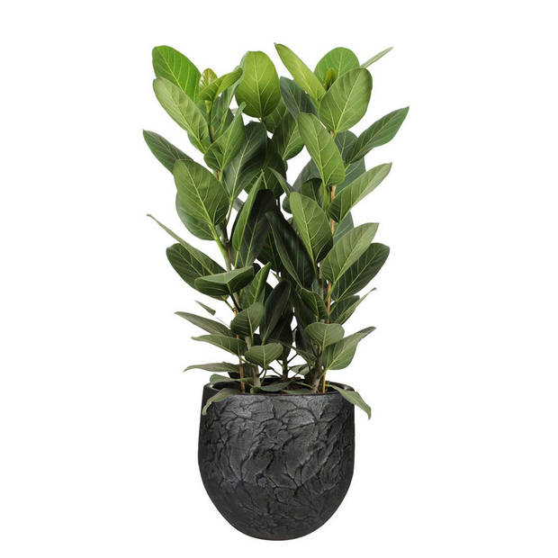 Ter Steege Plantenpot - antiek look - keramiek - zwart - 18 x 16 cm - Plantenpotten