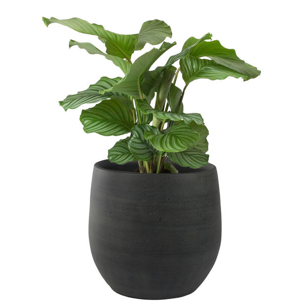 Steege Plantenpot - moderne look - zwart - 36 x 32 cm - Plantenpotten