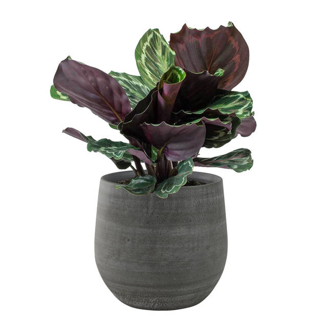2x stuks plantenpotten/bloempotten in een strakke Modern design look mystic grijs Dia 26 cm en Hoogt - Plantenpotten
