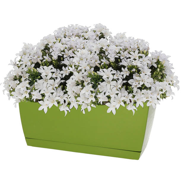 Prosperplast bloempot - kunststof - kiwi groen - 24 x 12 x 11 cm - Plantenpotten