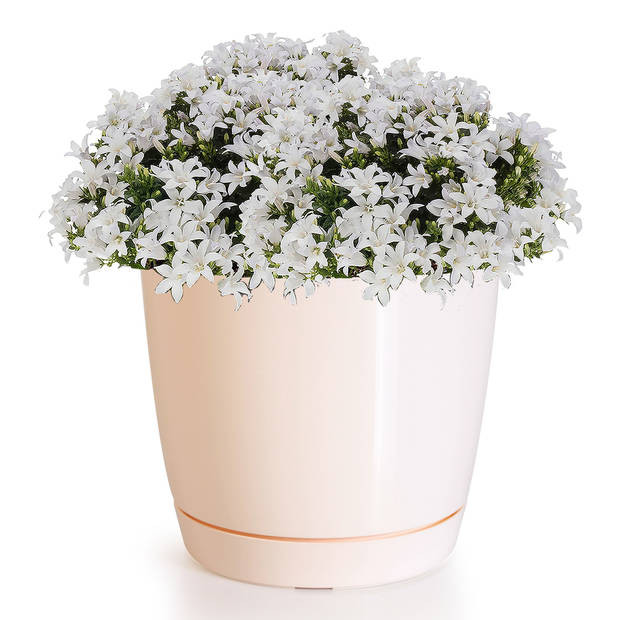 Prosperplast plantenpot - kunststof - creme-beige - D13,5 x H12,5 cm - Plantenpotten