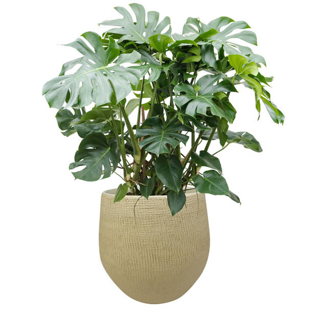 2x stuks plantenpotten/bloempotten in een strakke Modern design look zand/beige Dia 36 cm en Hoogte - Plantenpotten
