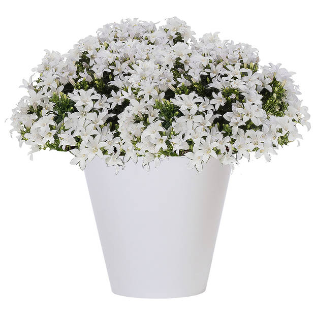 Prosperplast plantenpot - kunststof - brons - D20 x H19 cm - Plantenpotten