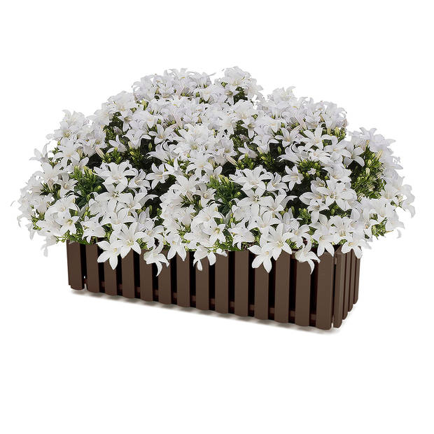 Prosperplast Plantenbak - kunststof - 58 cm - hout bruin - Plantenpotten